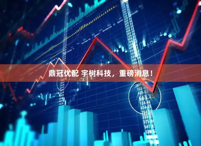 鼎冠优配 宇树科技，重磅消息！