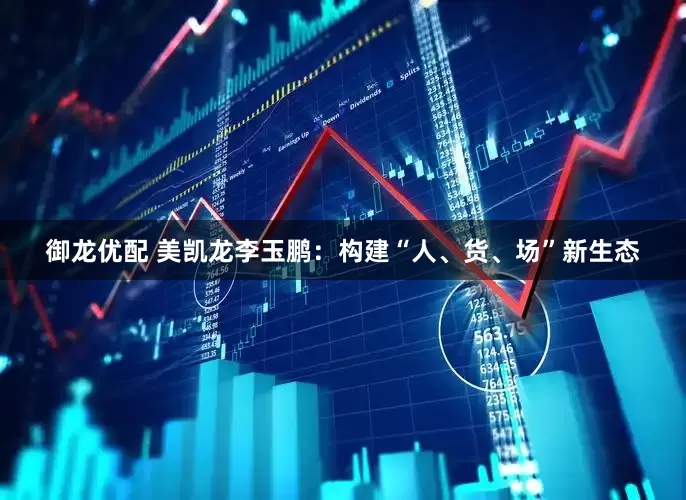 御龙优配 美凯龙李玉鹏：构建“人、货、场”新生态