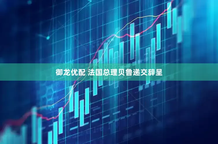 御龙优配 法国总理贝鲁递交辞呈