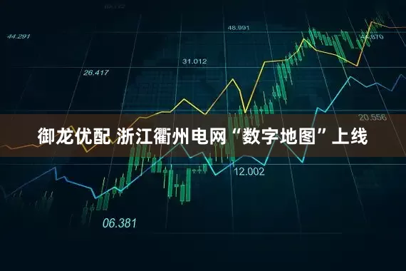 御龙优配 浙江衢州电网“数字地图”上线